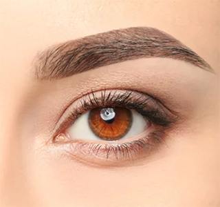 Eyebrow & Eyelash Tint - service image